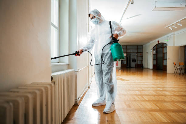 Best Residential Pest Control  in Contoocook, NH